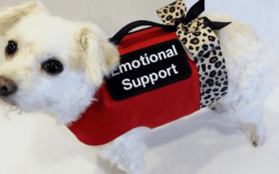 Emotional Support Animal Letters explained