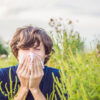Allergy Medical Certificate