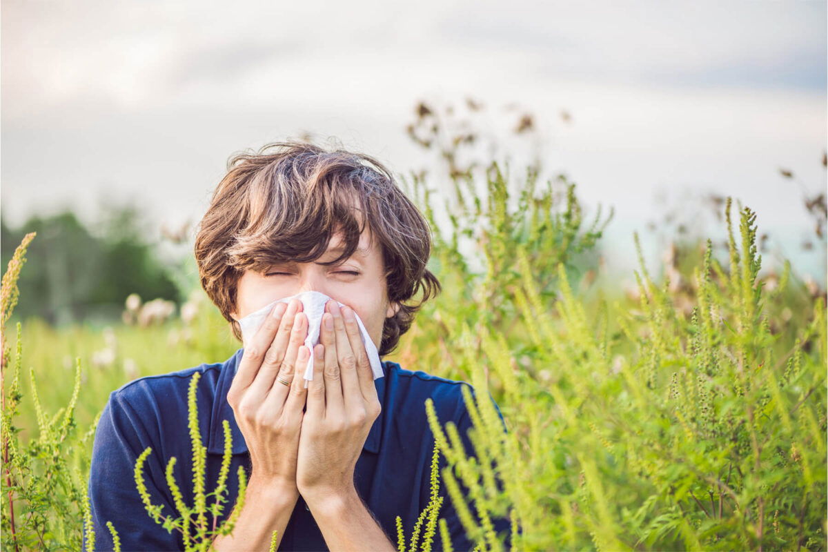 Allergy Medical Certificate