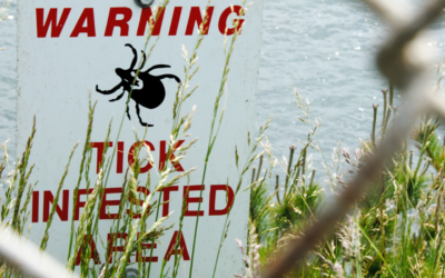 Lyme disease: signs, symptoms and how to ‘stay safe’ 